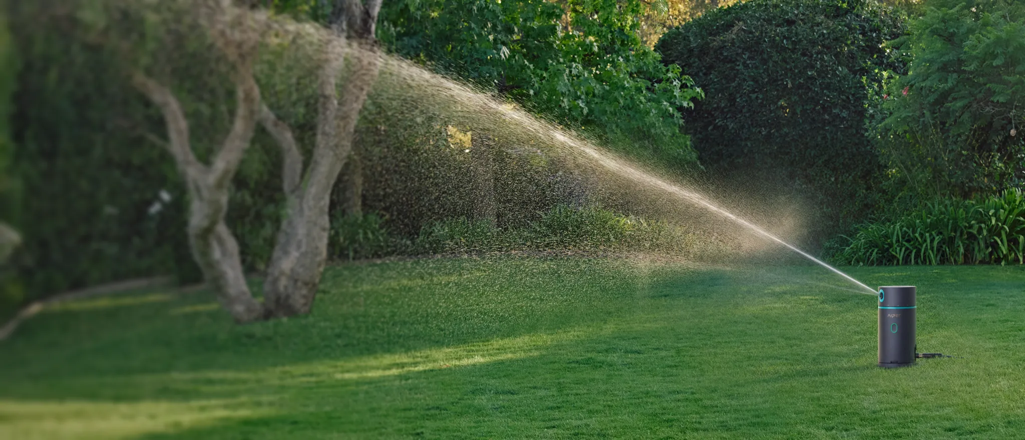 Aiper IrriSense 2 SE